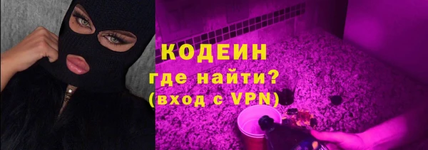 индика Бугульма