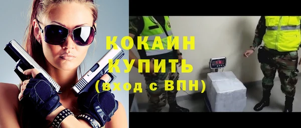 индика Бугульма