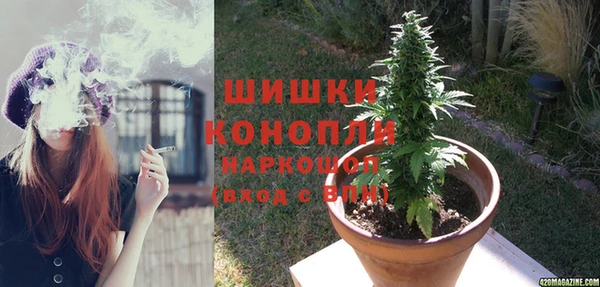 прущая мука Богданович