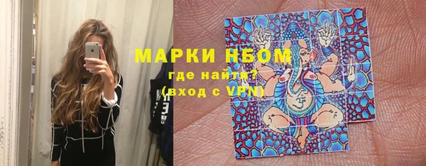 индика Бугульма