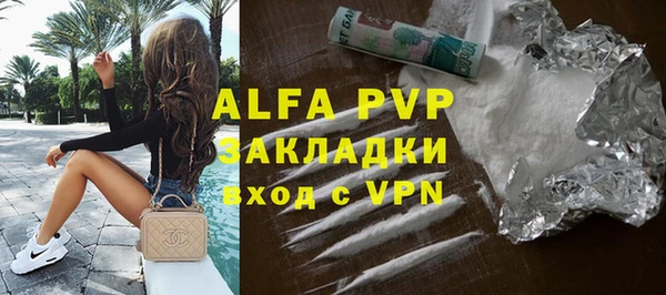 индика Бугульма