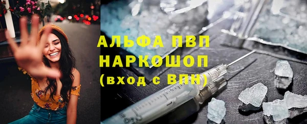 индика Бугульма