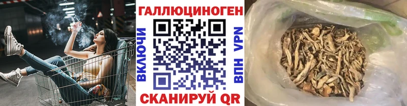 Псилоцибиновые грибы Psilocybe  купить   Гулькевичи 